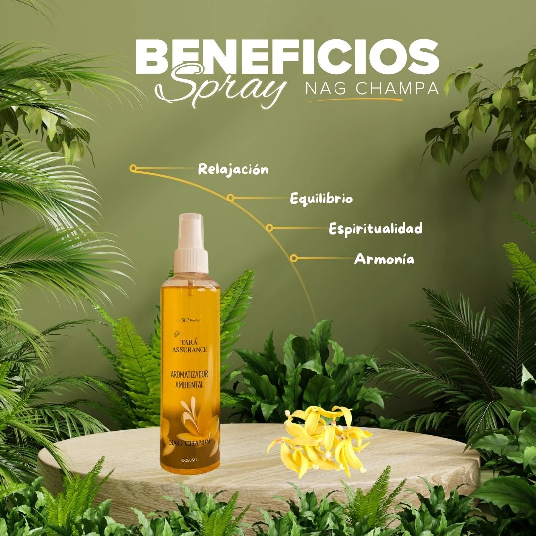 Imagen del producto 8
