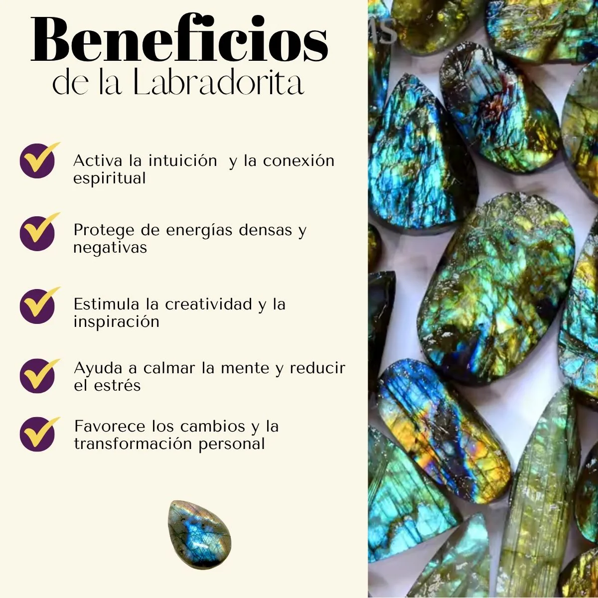 Imagen del producto 2